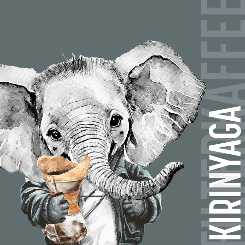 Image of Kirinyaga Filter coffee from Kenya