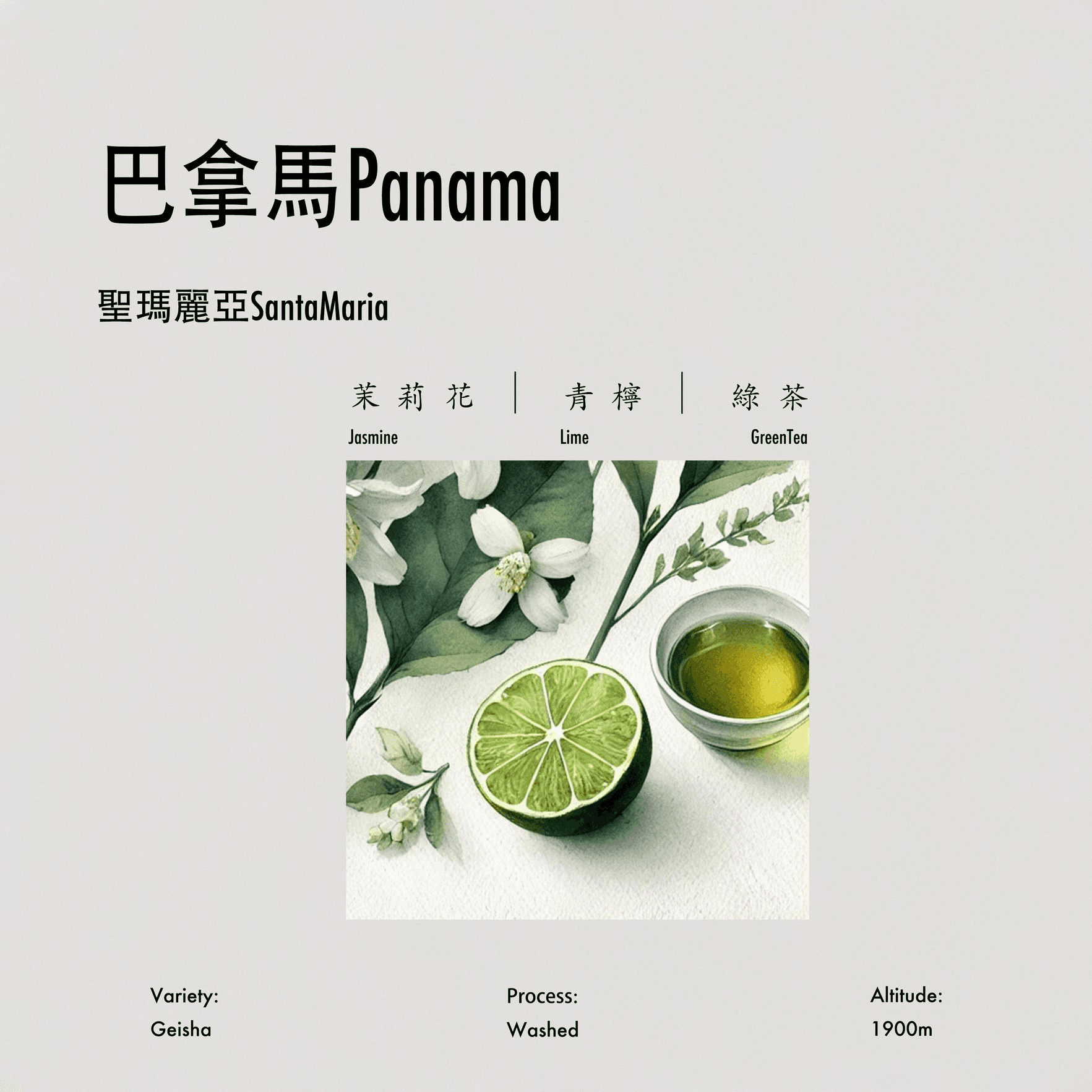 Image of SantaMaria Washed Geisha