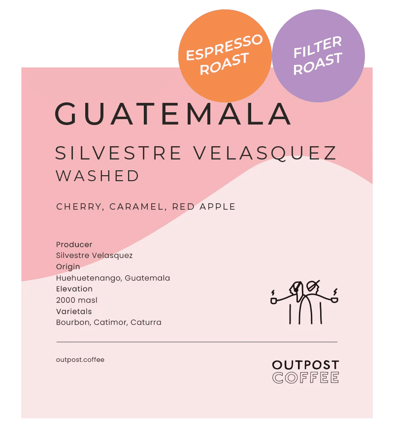 Image of Silvestre Velasquez Washed Guatemala