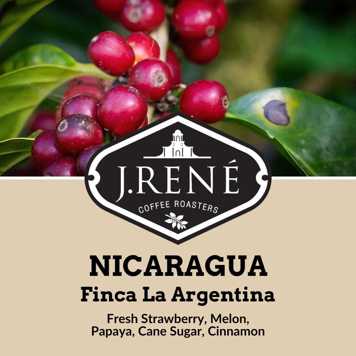 Image of Nicaragua Finca La Argentina