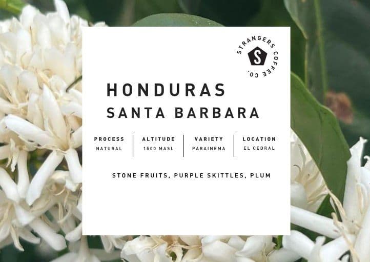 Image of Honduras Santa Barbara Natural