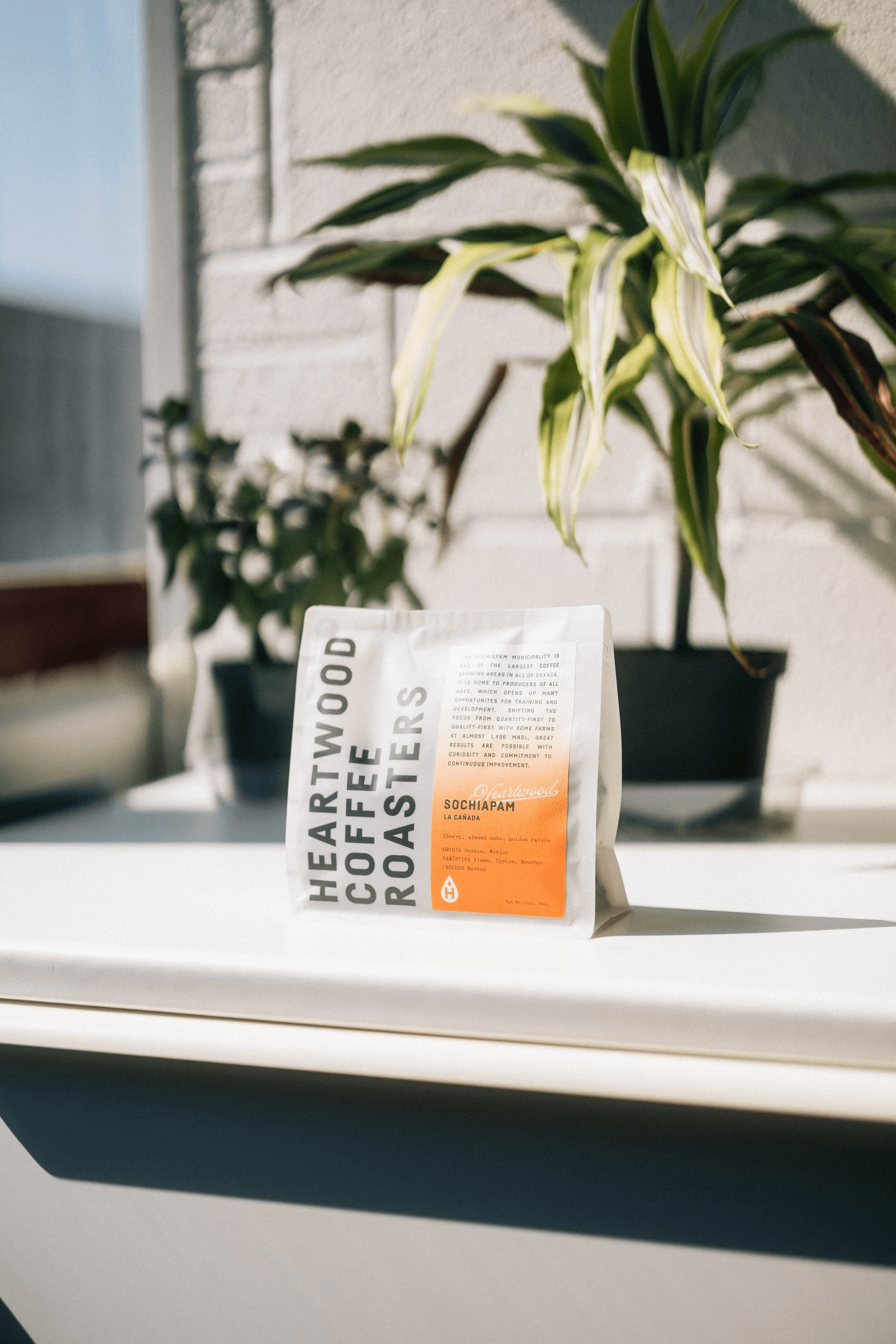 Image of Sochiapam Mexico