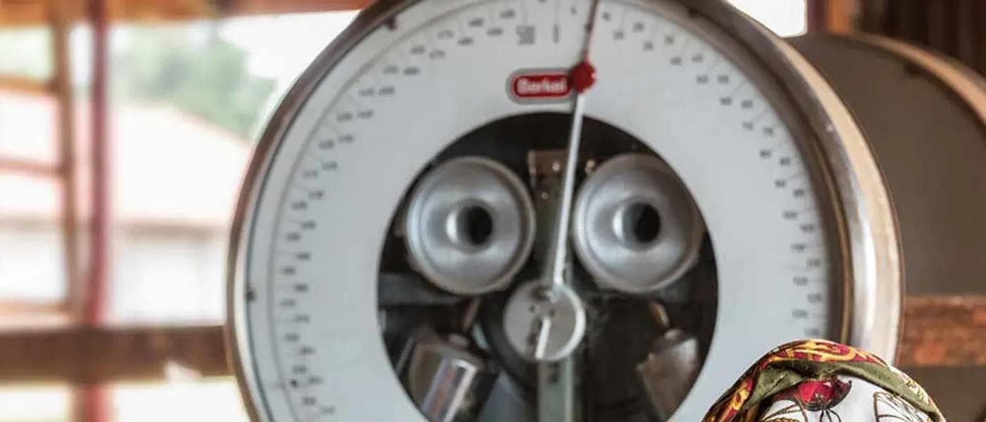 Image of Kenya Kianyangi