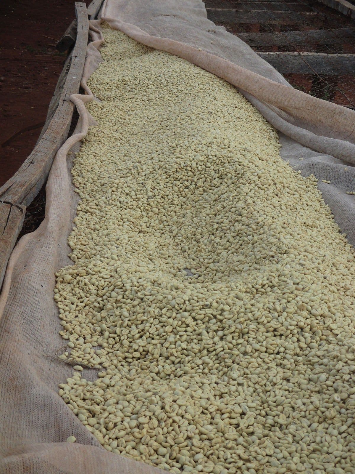 Image of Kenya Nyeri AB Giakanja