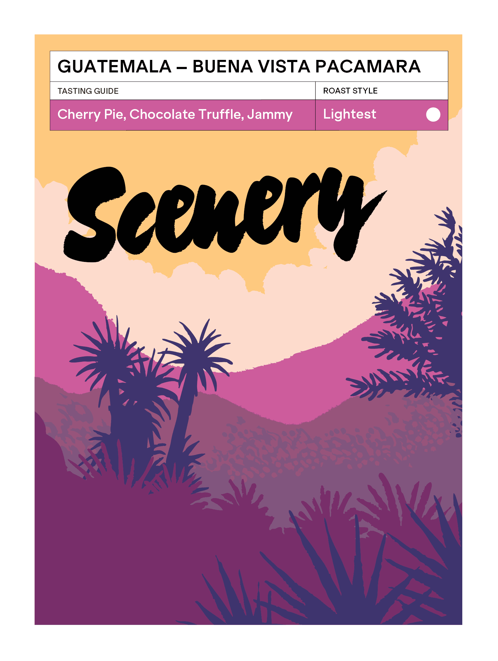 Image of Guatemala Fredy Orantes Buena Vista Pacamara