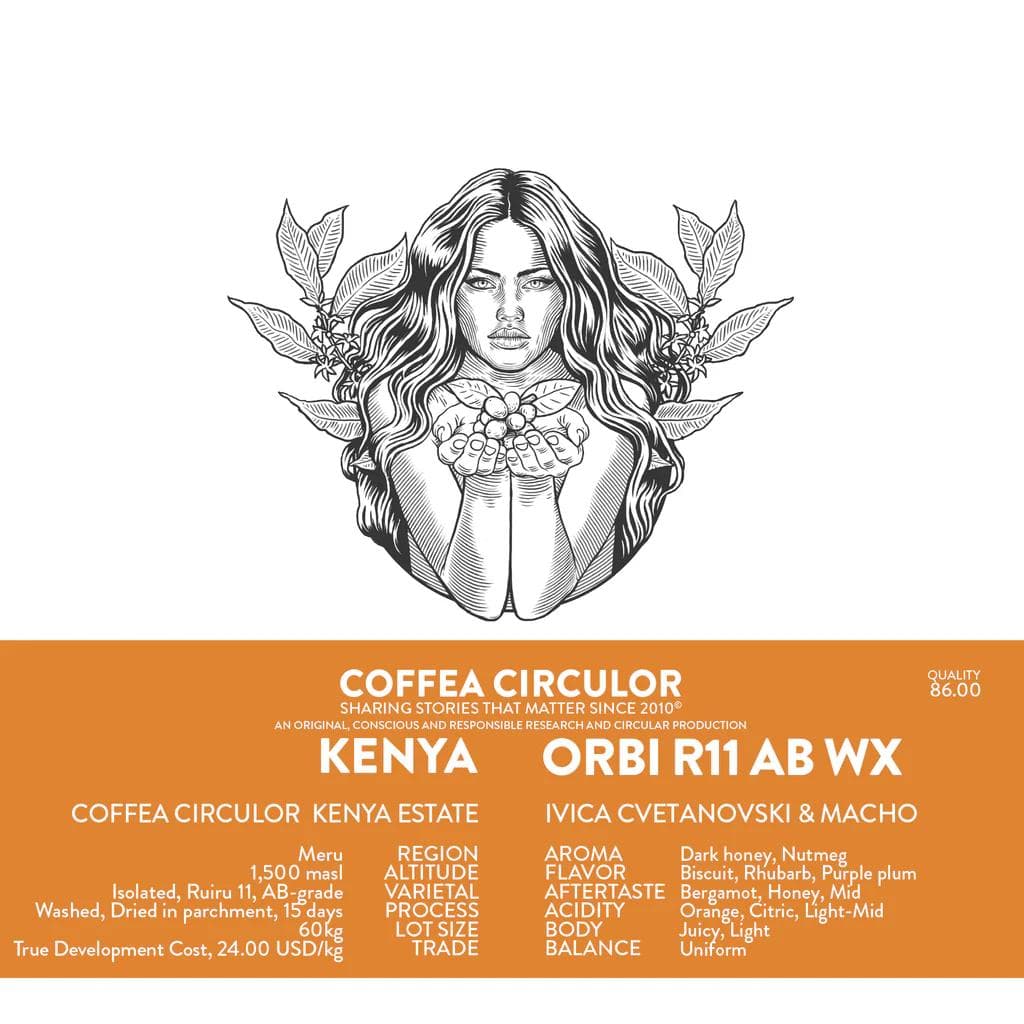 Image of KENYA Coffea Circulor Orbi Ruiru 11 AB Washed WX
