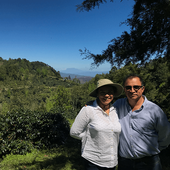 Image of Honduras Marysabel Blend