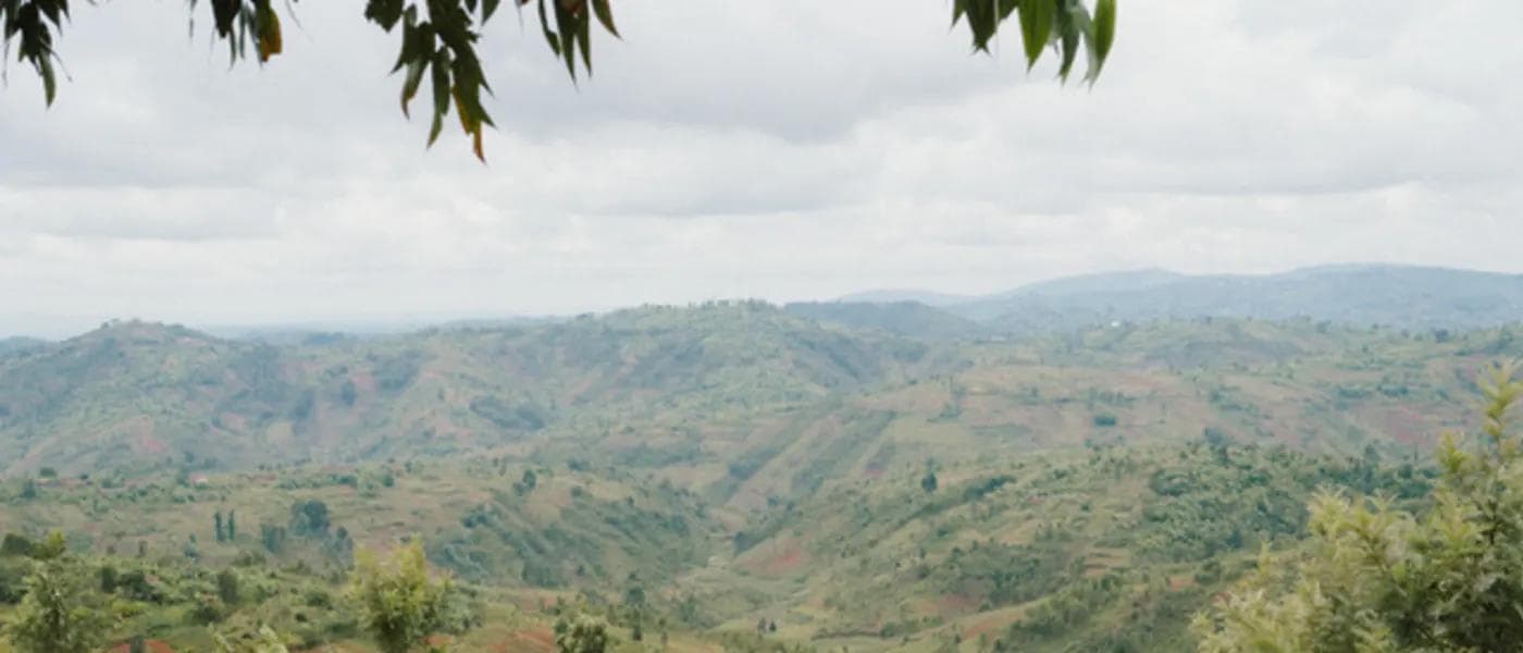Image of Burundi Gaharo