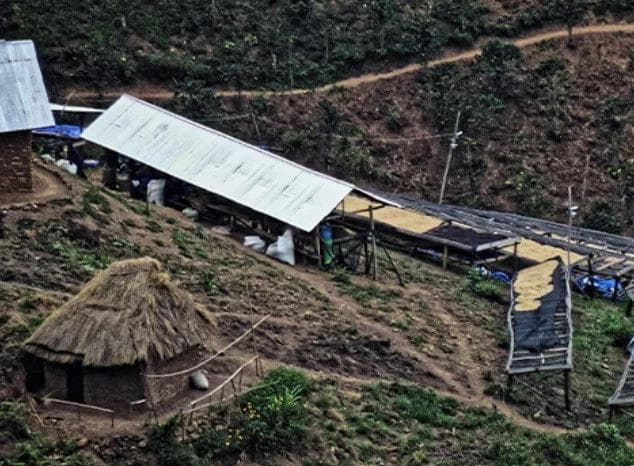 Image of DR Congo Kivu Hutwe Honey