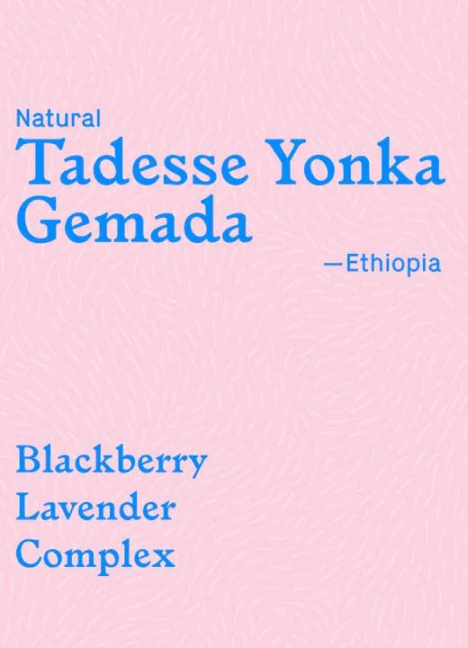 Image of Tadesse Yonka Gemada