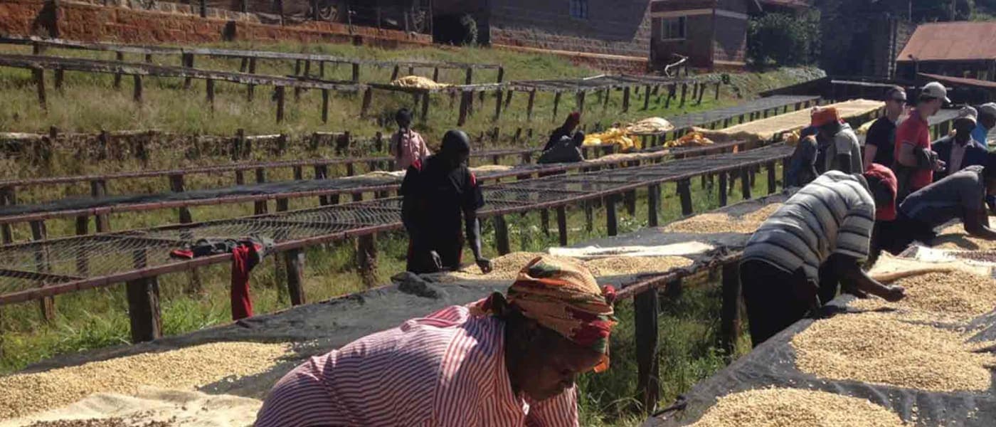 Image of Kenya Ichamara