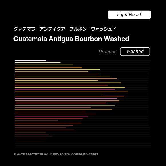 Image of Guatemala Antigua Bourbon Washed Light Roast