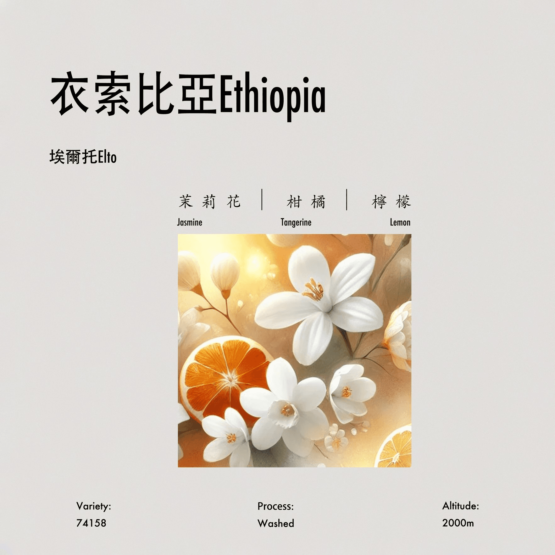 Image of Elto Washed 2024