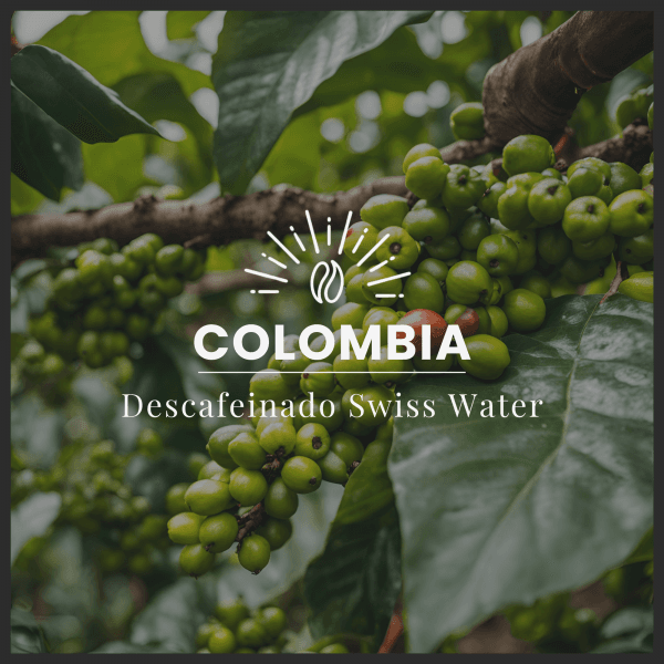 Image of SWISS WATER DECAFFEINATED – COLOMBIA