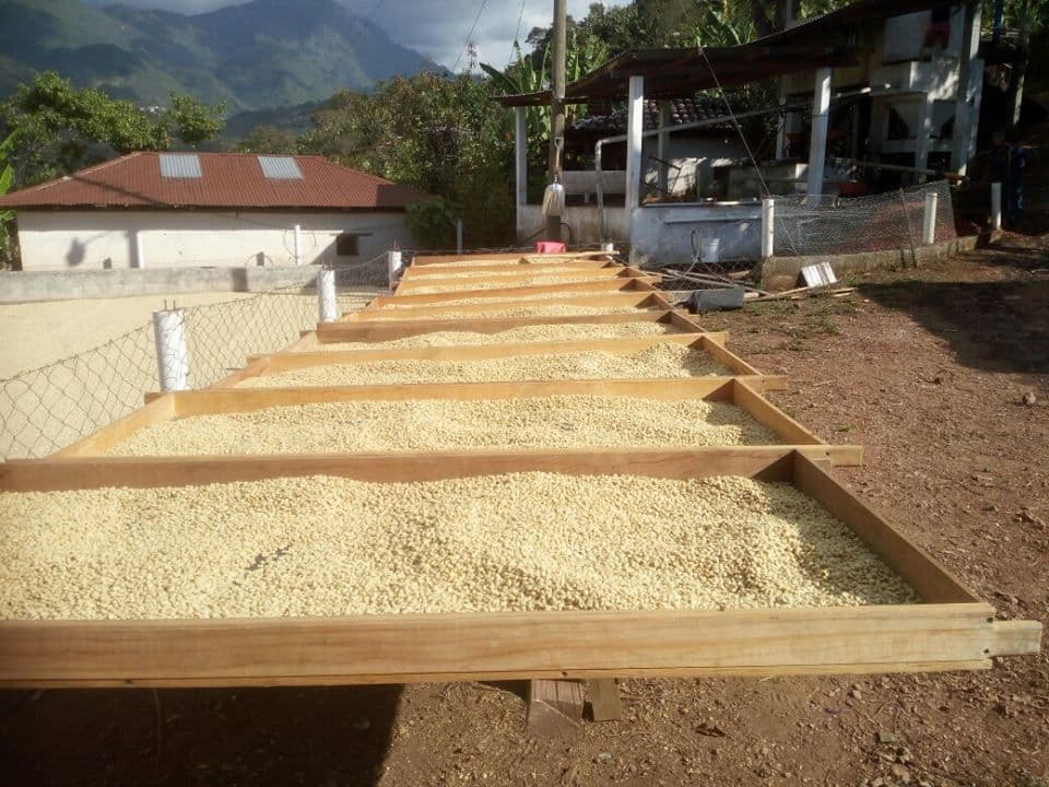 Image of Guatemala Eugenio Ahilon