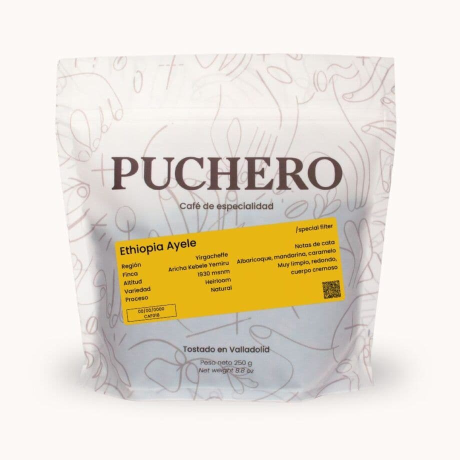 Image of Ethiopia Ayele Begshaw