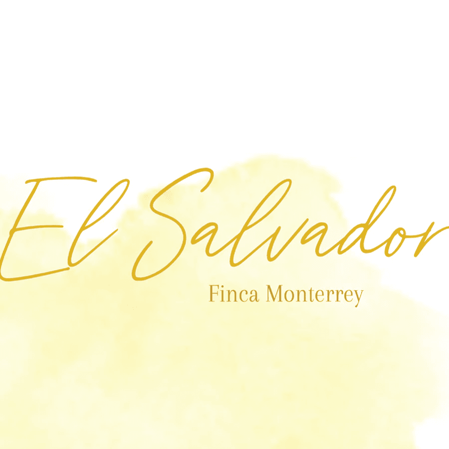 Image of El Salvador - Finca Monterry