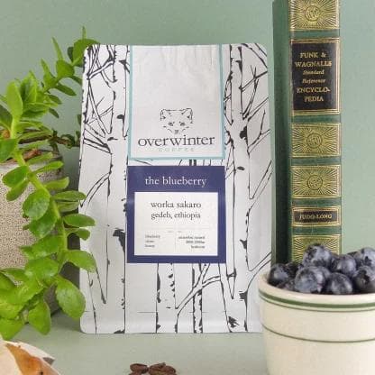 Image of The Blueberry