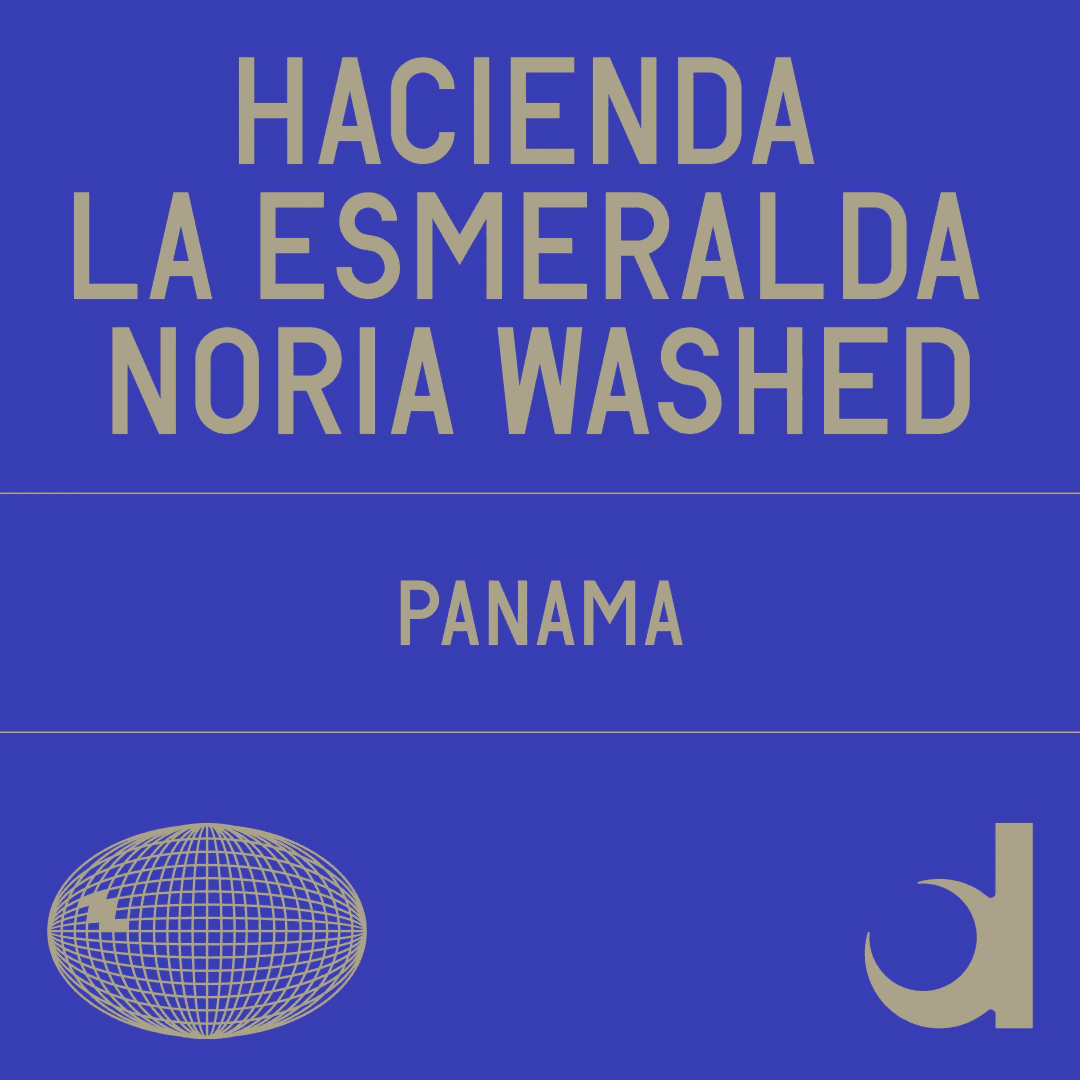 Image of Hacienda La Esmeralda Noria Washed