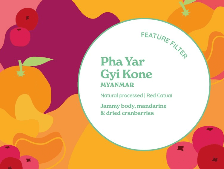 Image of Feature Filter Pha Yar Gyi Kone Natural Myanmar