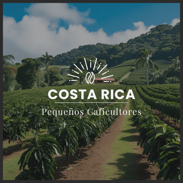 Image of SMALL COFFEE GROWERS - COSTA RICA
