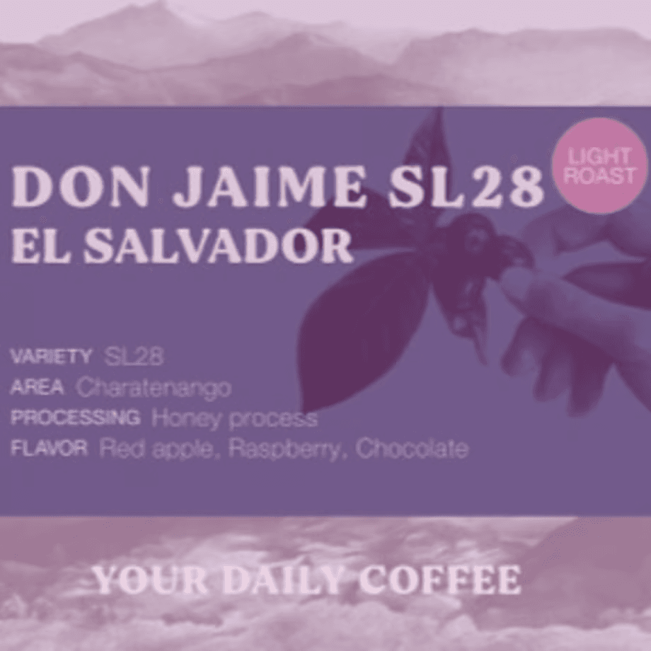 Image of El Salvador Don Jaime