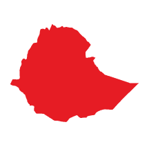 Image of Halo Beriti