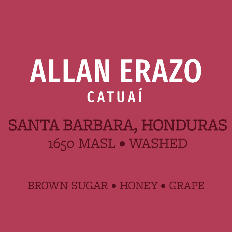 Image of Honduras - Allan Erazo - Catuai