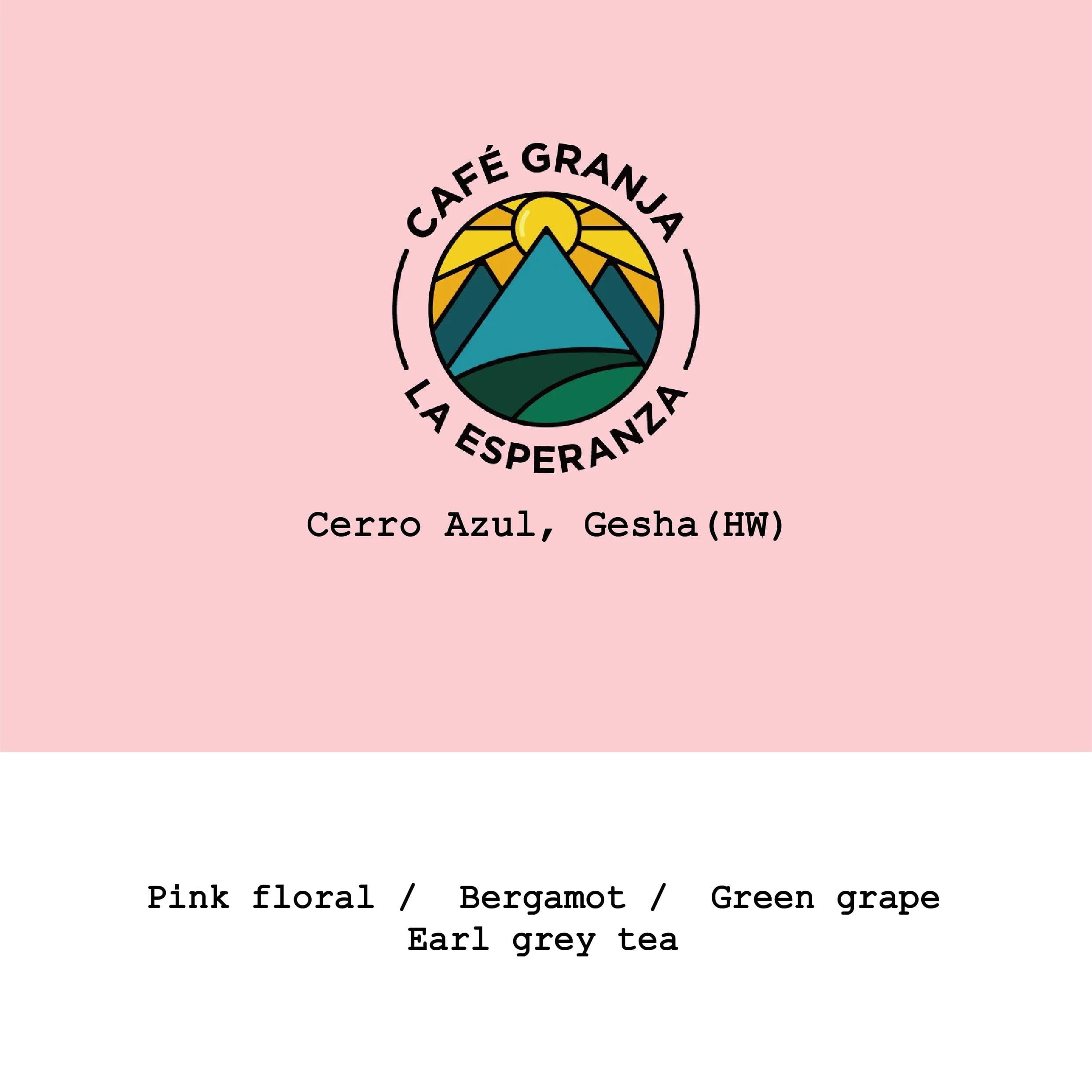 Image of New Crop Colombia Cerro Azul Gesha Hybrid-washed
