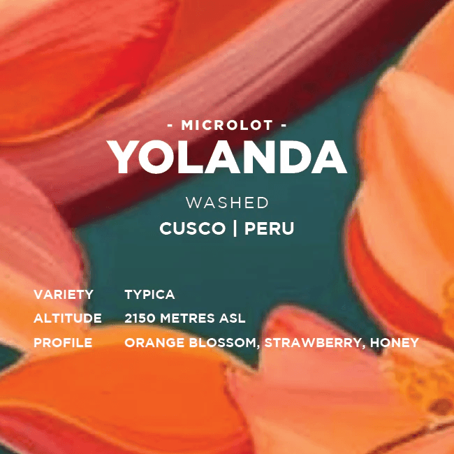 Image of Peru Yolanda