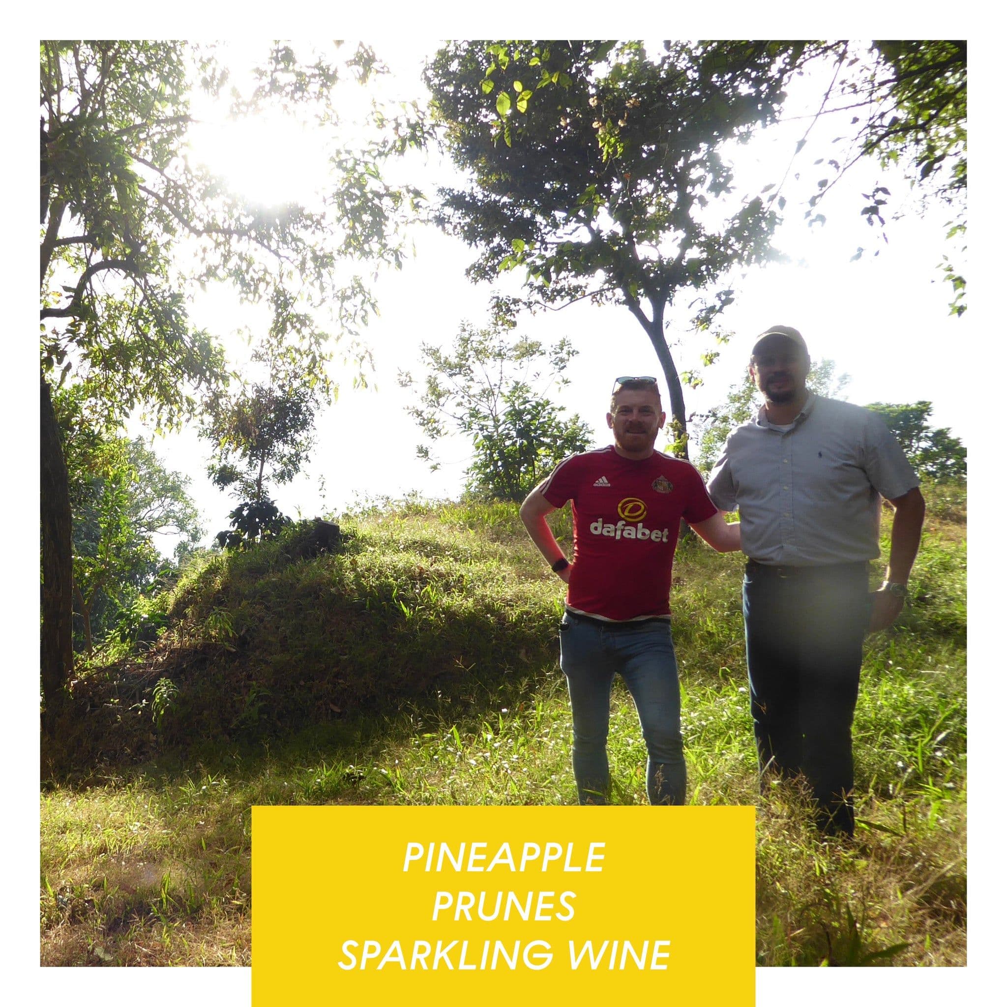 Image of Las Brumas Anaerobic Natural SL28 El Salvador