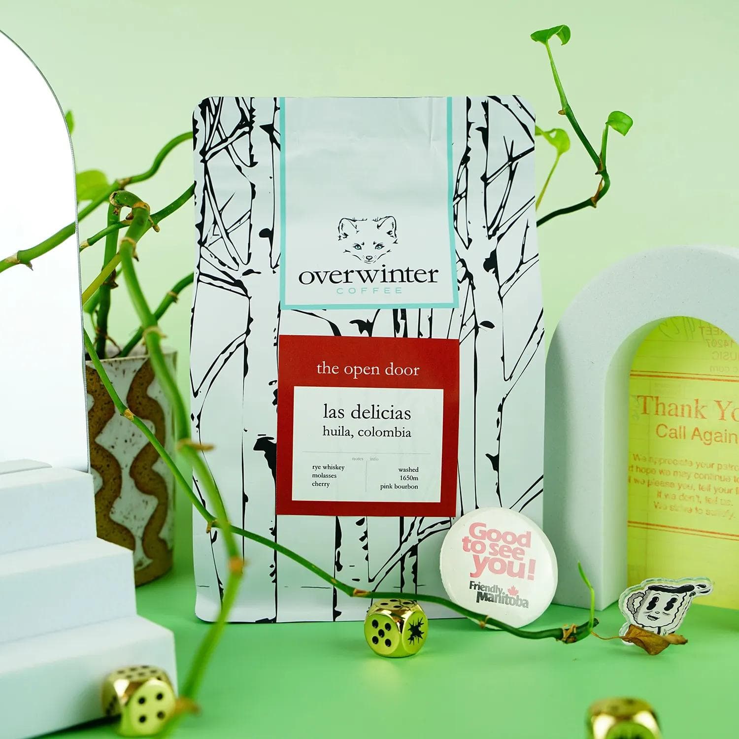 Image of The Open Door