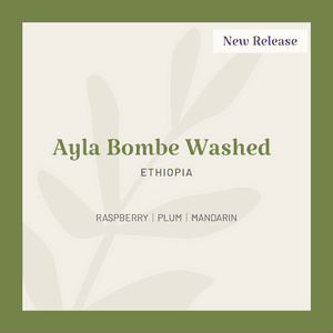 Image of Ethiopia Ayla Bombe Washed