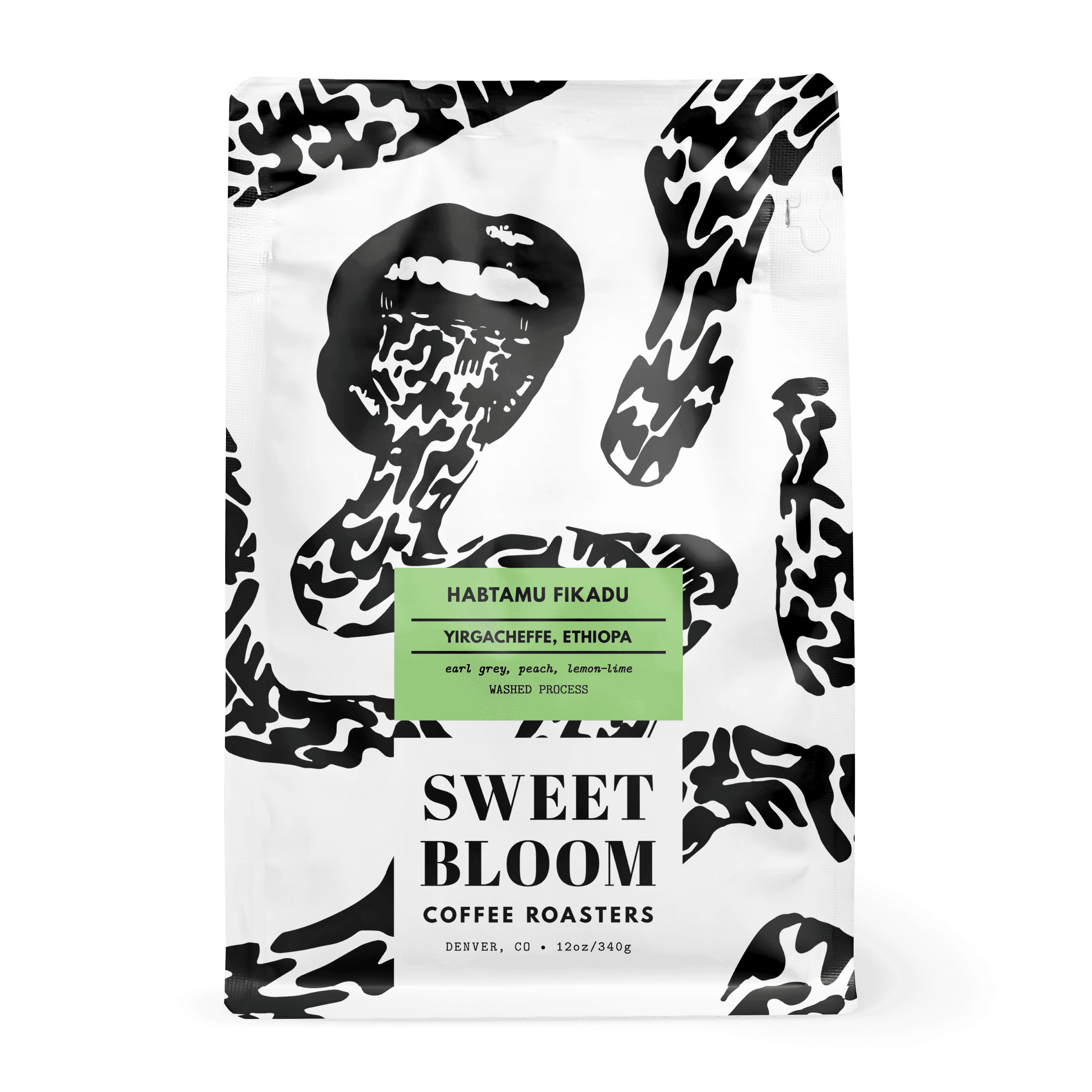 Image of Habtamu Fikadu