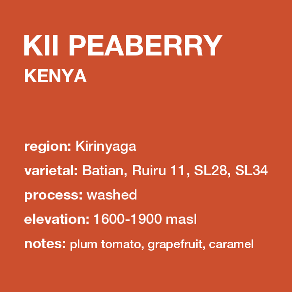 Image of New Kenya Kii Peaberry