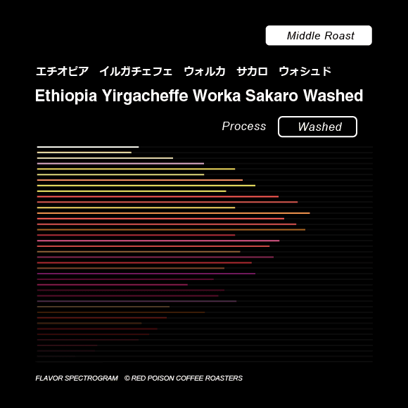 Image of Yirgacheffe Worka Sakaro Washed