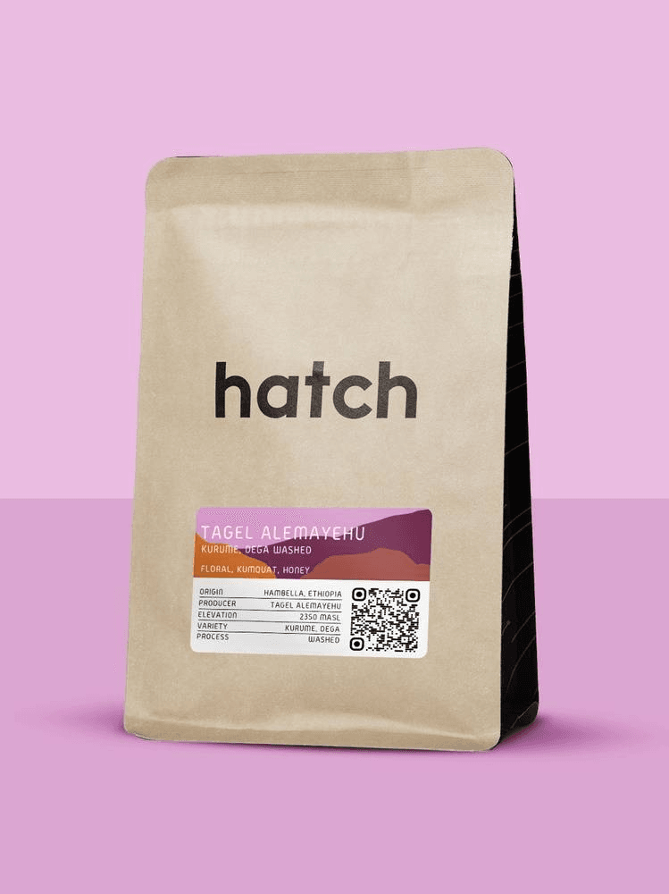 Image of Tagel Alemayehu Washed