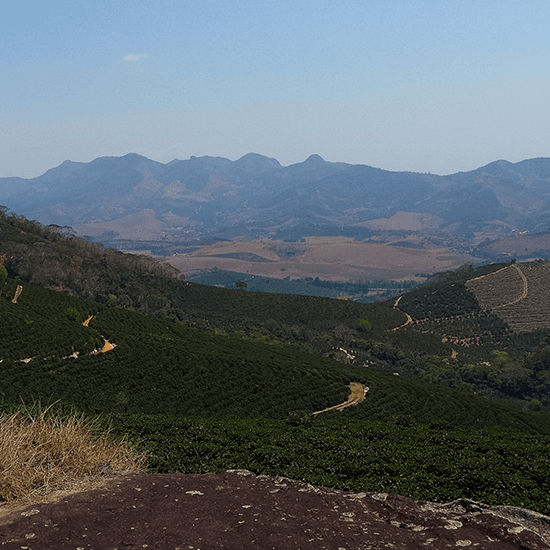 Image of Brazil Central Mattos Santa Rita Natural