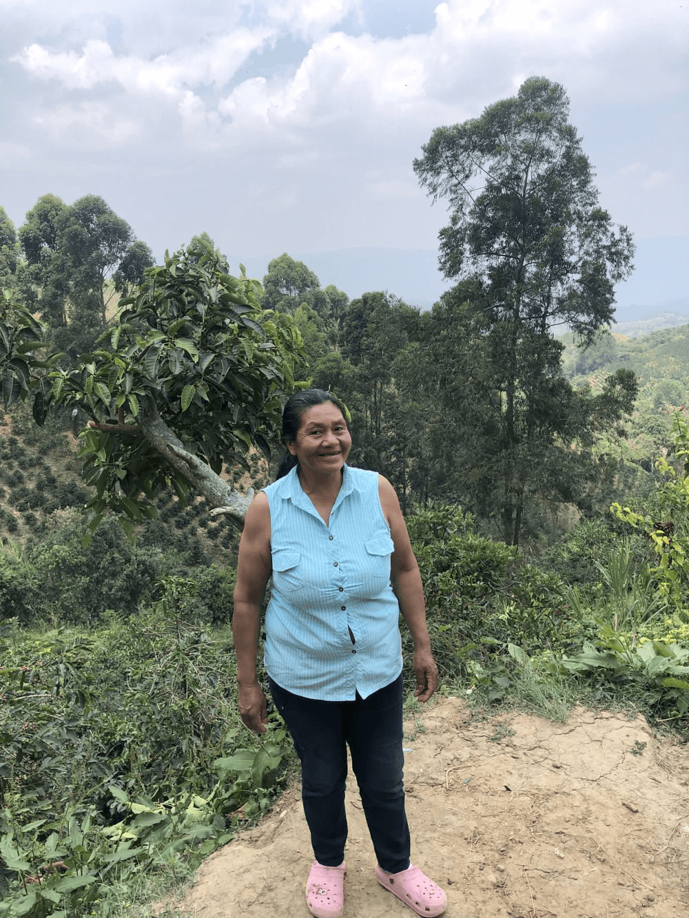 Image of Dona - Colombia