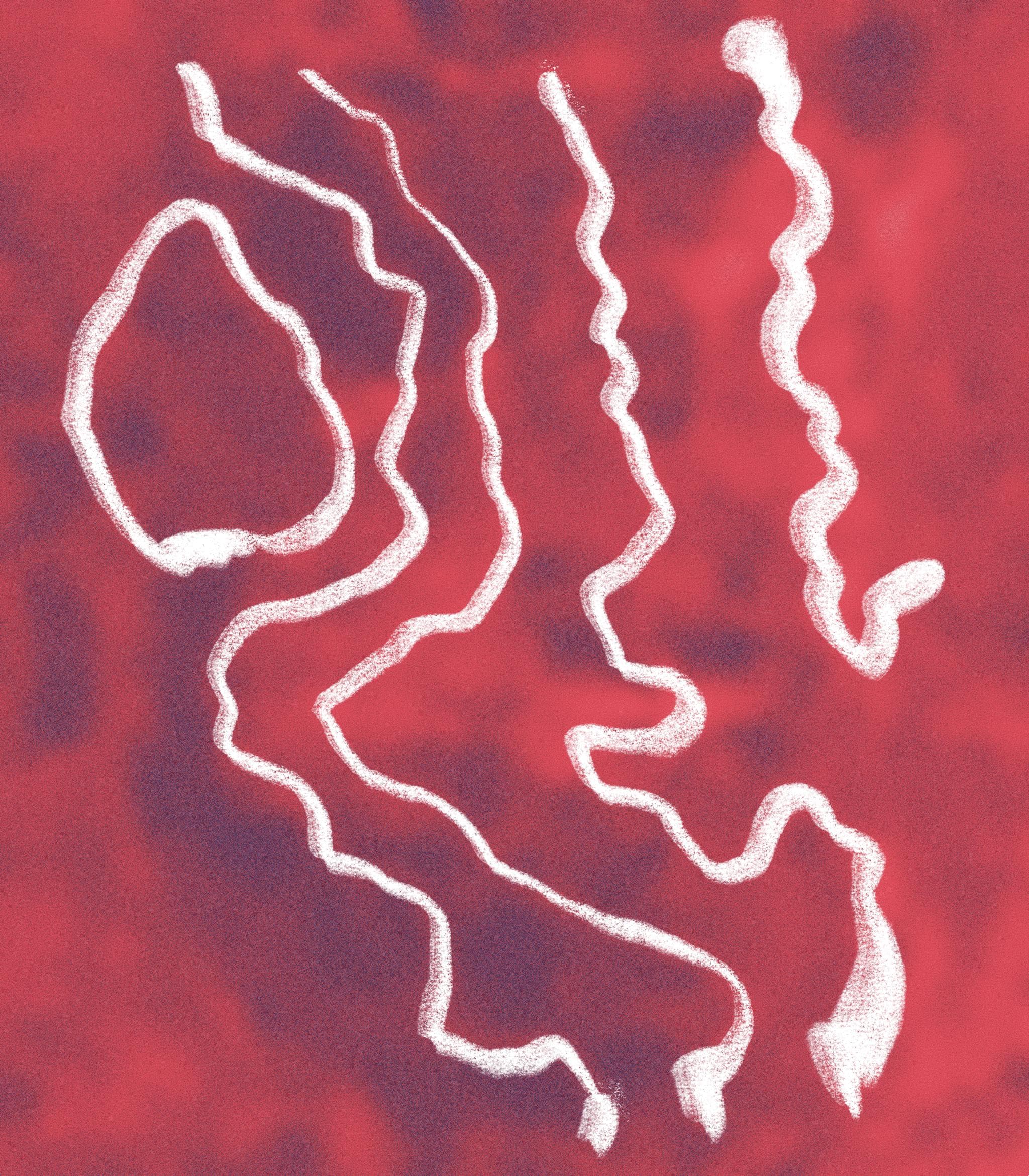 Image of Sebastian Ramirez Honey Thermal Shock Pink Bourbon Colombia