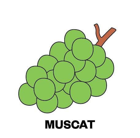 Image of Guatemala La Merced