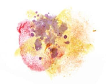 Image of Ecuador Maputo Typica Mejorado Washed