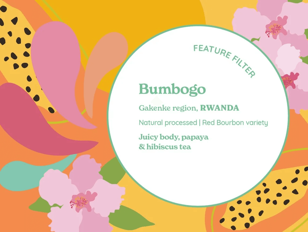 Image of Feature Filter Bumbogo