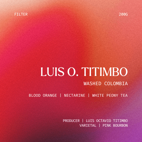 Image of Filter Luis Octavio Titimbo Colombia