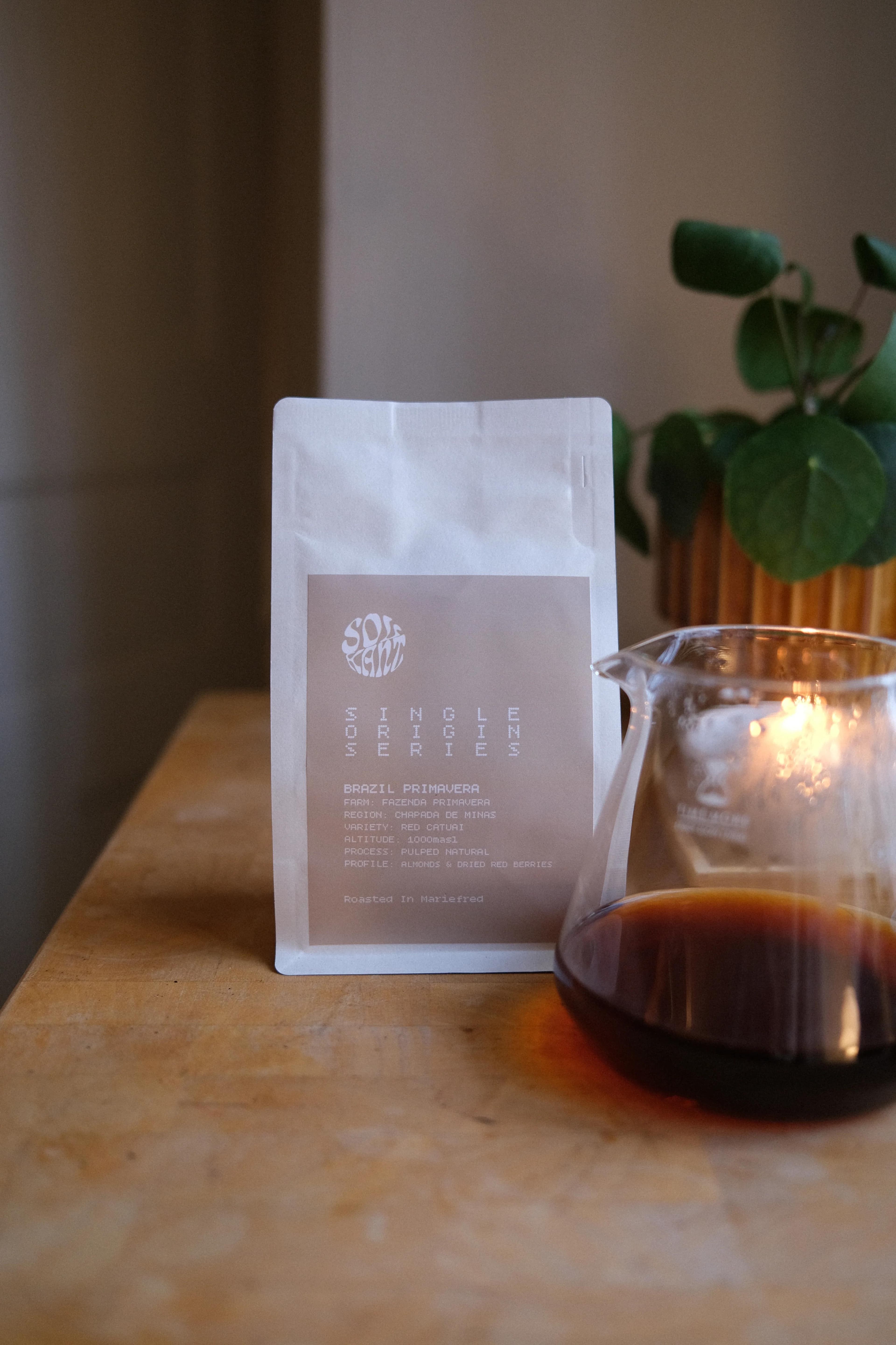 Image of Brazil Primavera