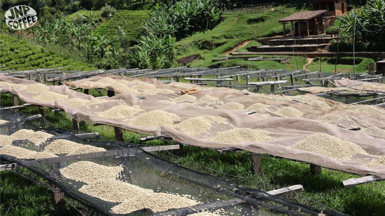 Image of Burundi Kayanza Matongo - Cold Brew