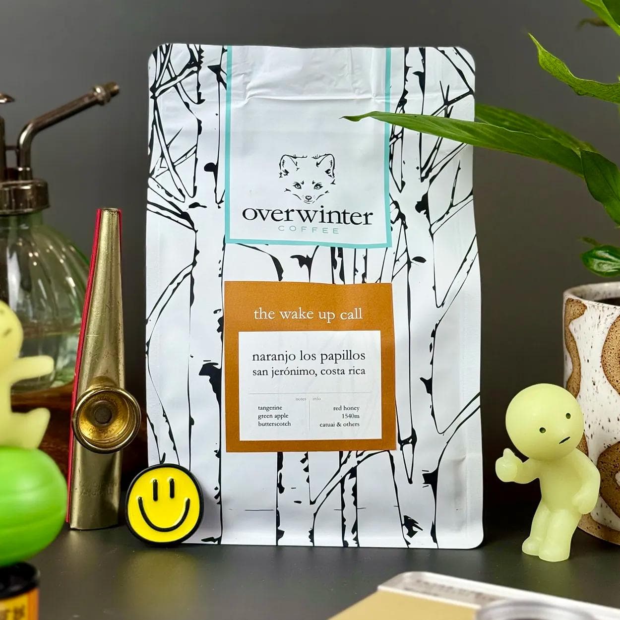 Image of The Wake Up Call