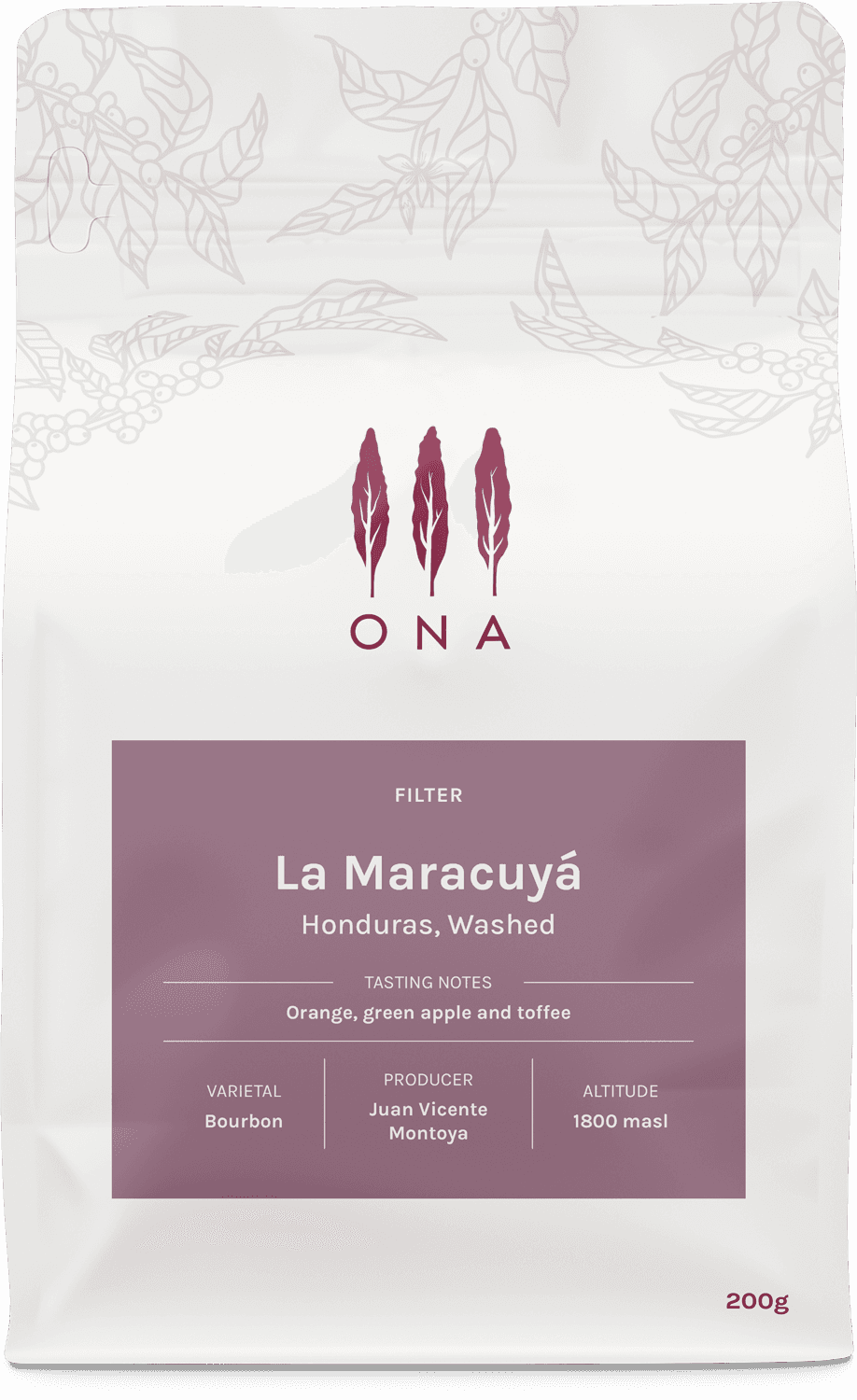 Image of La Maracuya Honduras Washed