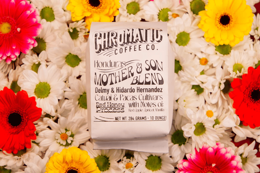 Image of Mother and Son S O Blend