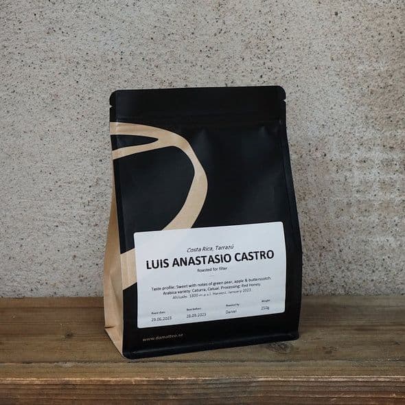 Image of Costa Rica - Luis Anastasio Castro